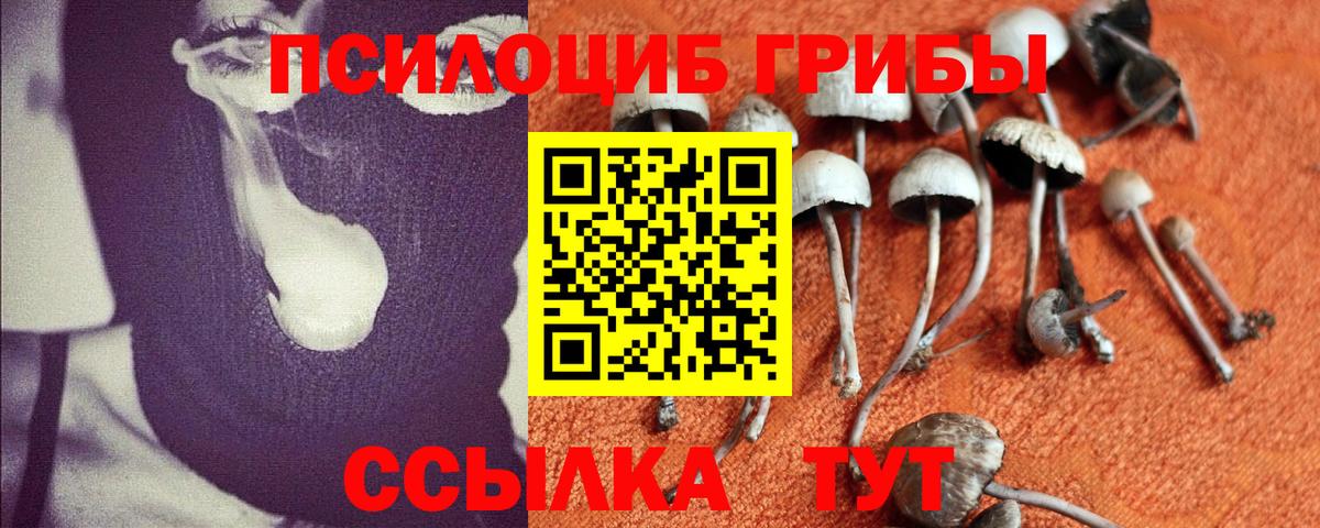 Псилоцибиновые грибы мухоморы  Галлюциногенные грибы Magic Shrooms  цены   Вход с VPN  Анапа 